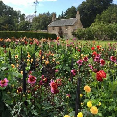 云博体育平台官网下载