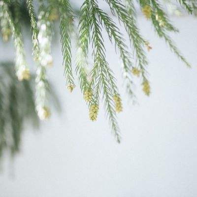 半岛·体育官网下载