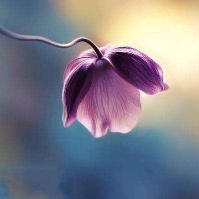 星空官方网站下载app截图