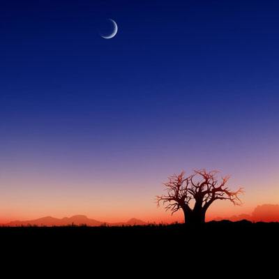 万博(ManBetx)app下载