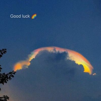 bb平台体育下载